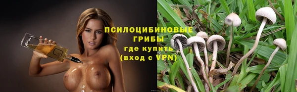 молекула духа Заволжск