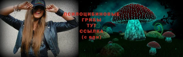 молекула духа Заволжск