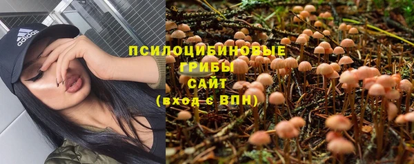 бутират Тобольск