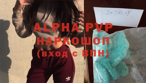 индика Тихвин