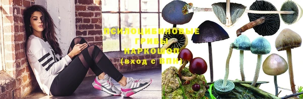 Альфа ПВП Заводоуковск