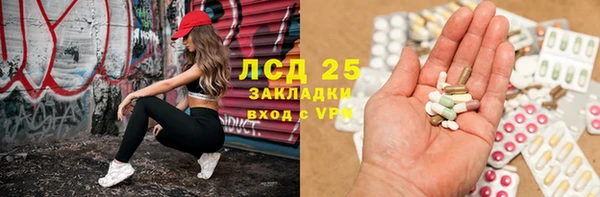 индика Тихвин