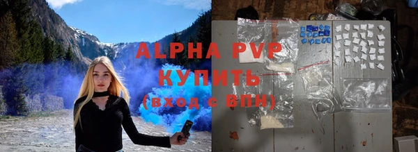 индика Тихвин