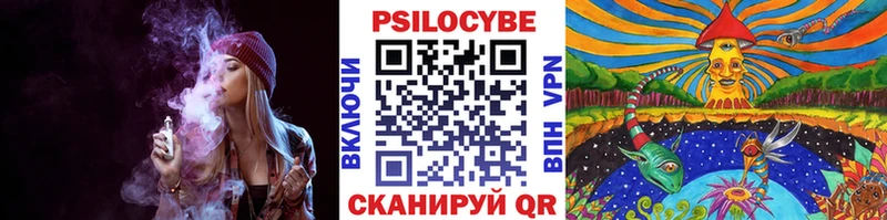 Псилоцибиновые грибы Cubensis  Спасск-Дальний 