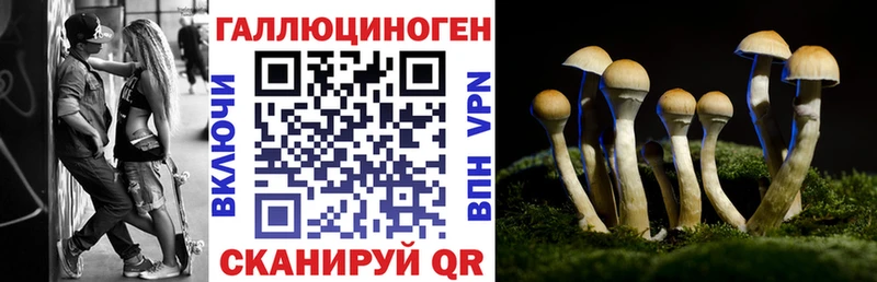 Псилоцибиновые грибы мицелий Спасск-Дальний