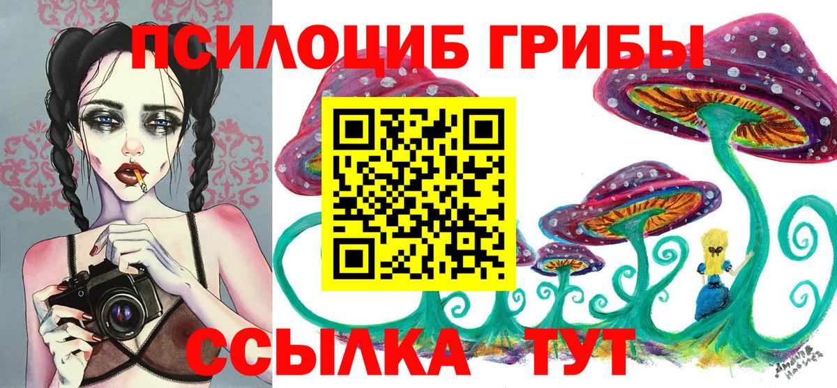 наркотики  Спасск-Дальний  Псилоцибиновые грибы ЛСД 