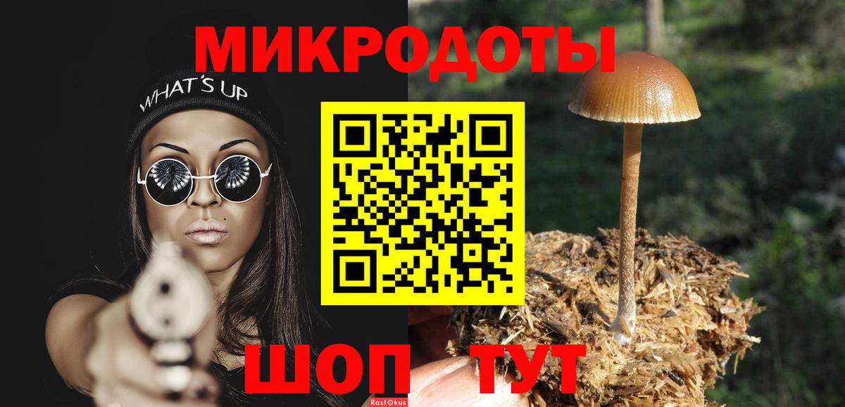 Псилоцибиновые грибы Psilocybine cubensis Спасск-Дальний